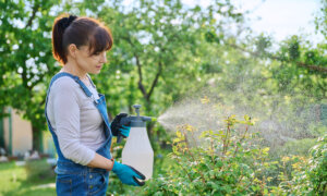 How to Keep Summer Pests From Taking Over Your Garden