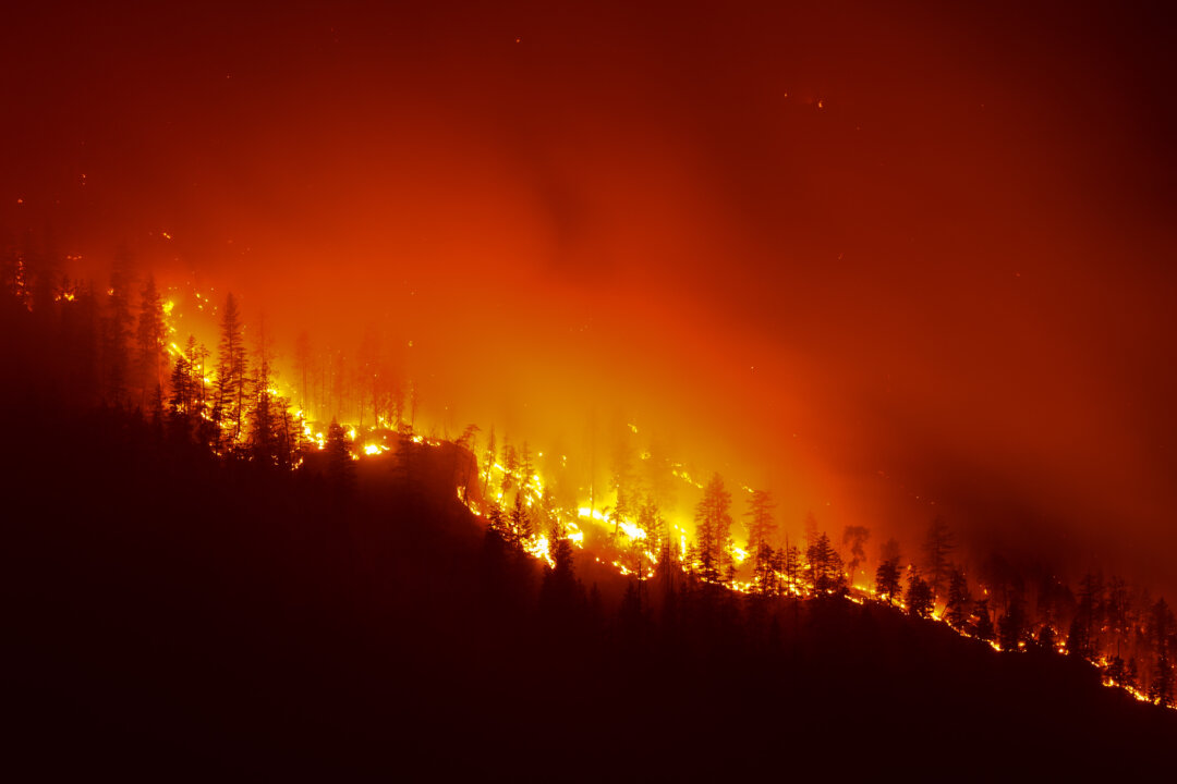 8,000 People Ordered to Evacuate in BC as Wildfires Continue to Ravage Province