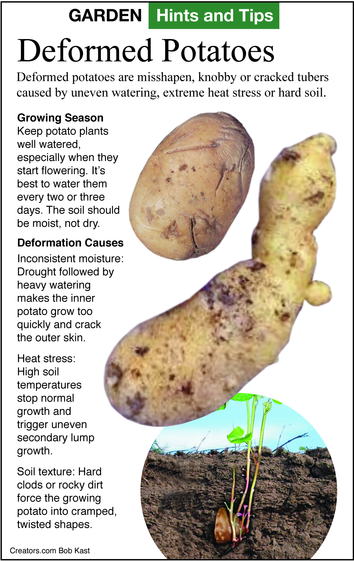 GardenTips.0531