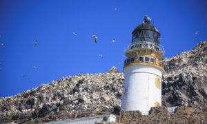 Postcards From Scotland: Natural Magic, Breathtaking Landscapes