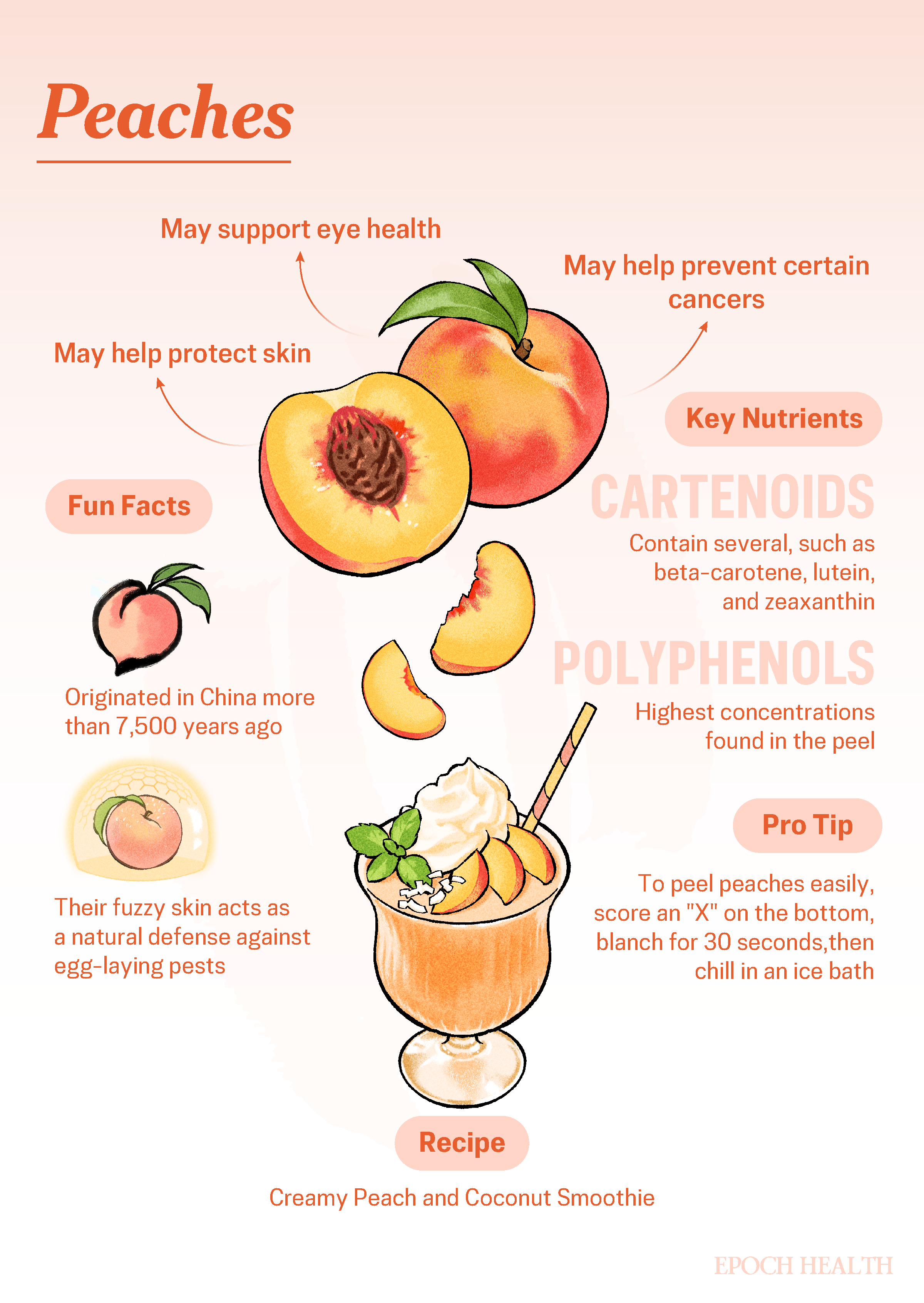 Peaches infographic_01