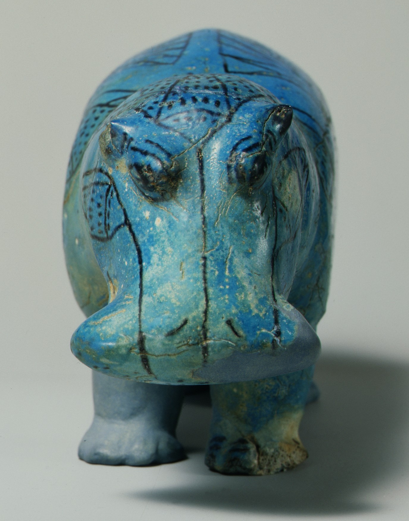 Hippopotamus ("William")
