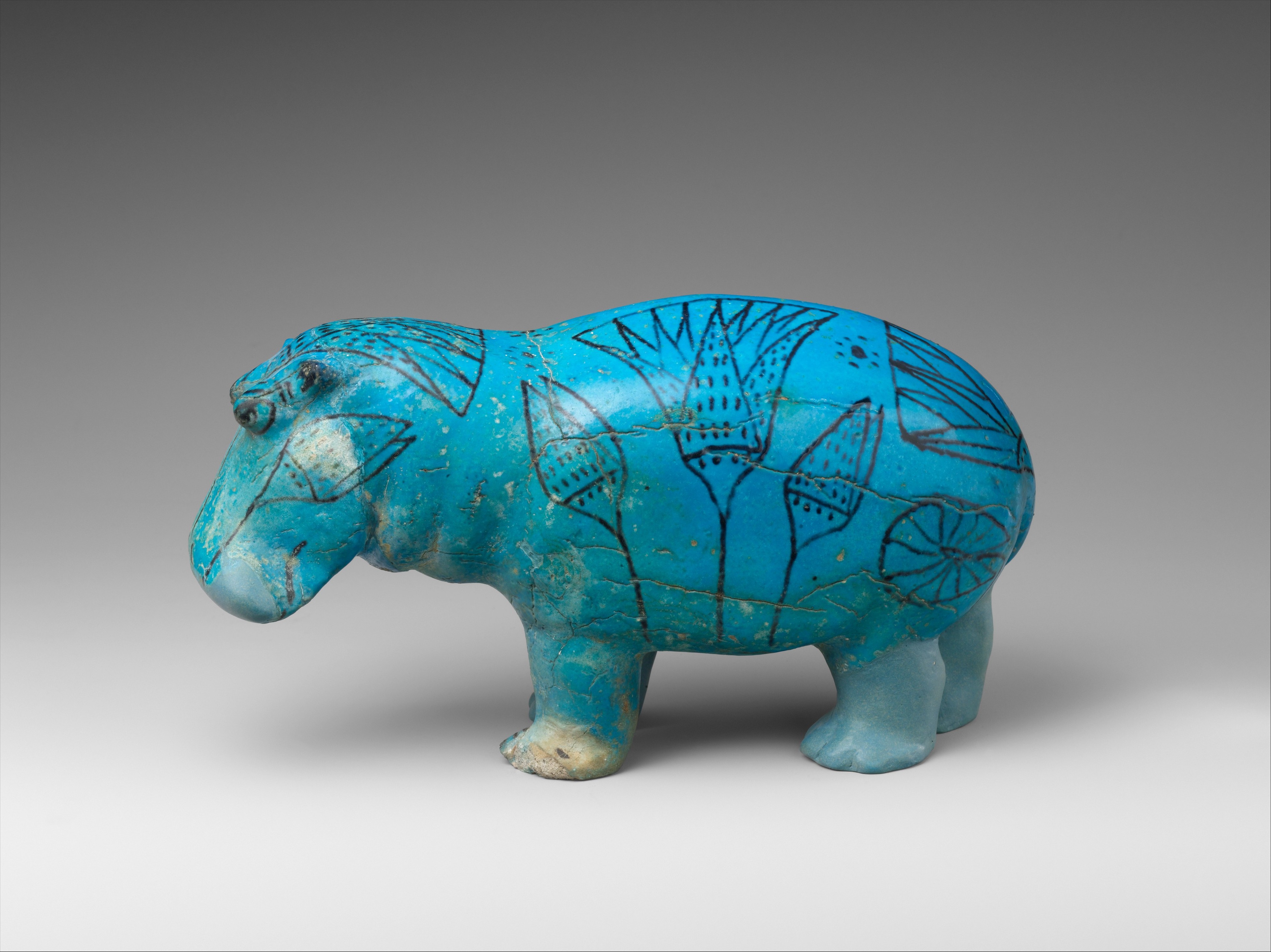 Hippopotamus ("William")