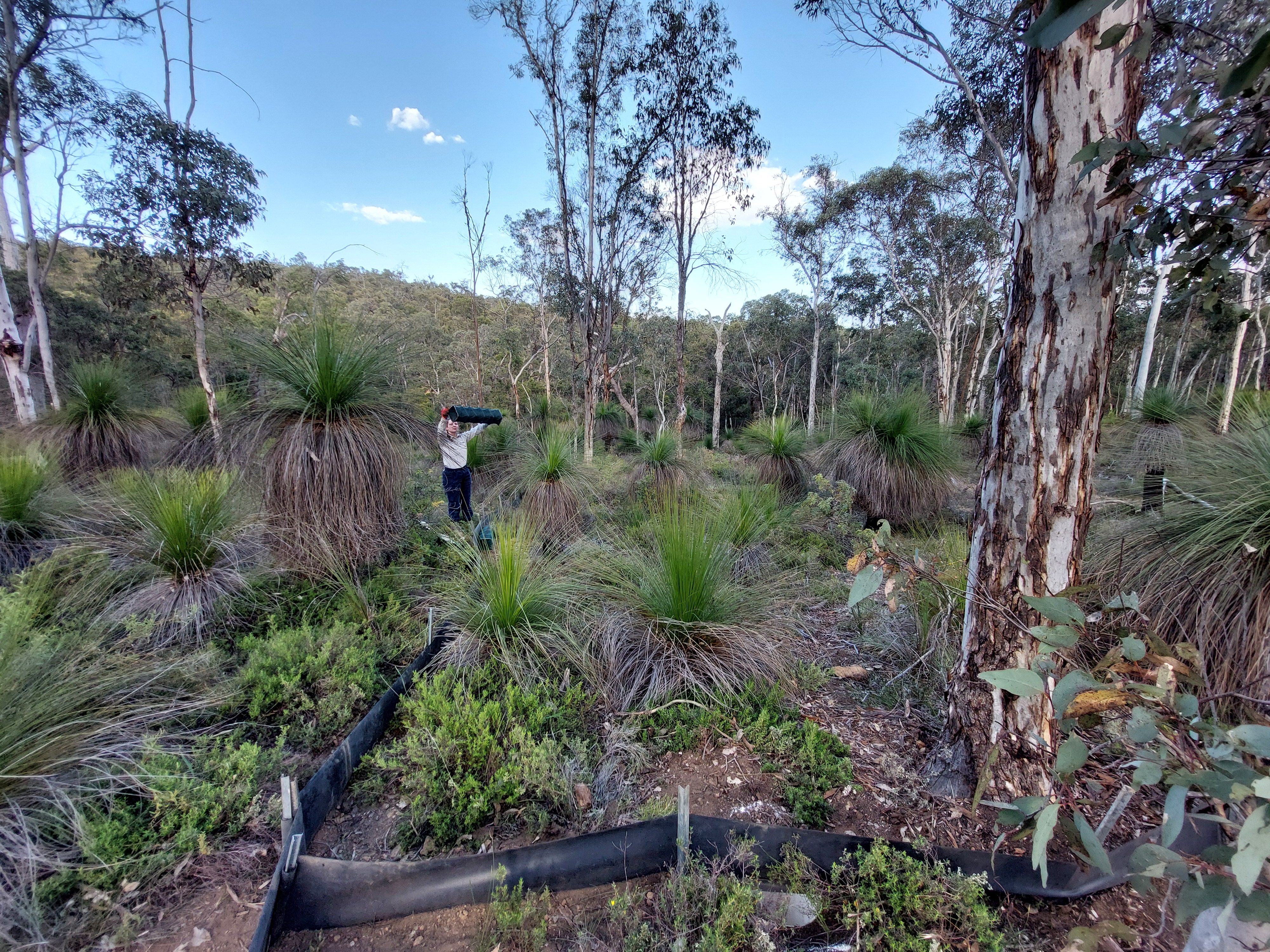 6EcologistcheckingpitfalltrapsBryonyPalmerjpg-20260806084006337