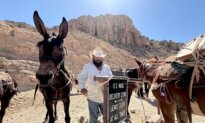 The Last of the Mule Mail Carriers