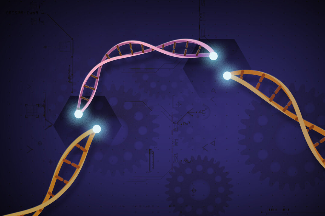 Another Child Death in China Gene-Editing Trial Disclosed Nearly a Year Later