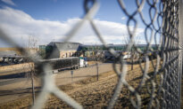 Alberta Forces Shutdown of Trucking Firm Tied to Fatal Manitoba Collision