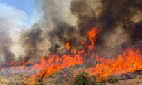Helicopter Battling Utah Wildfire Crashes as Blaze Kills Dozer Operator in Oregon