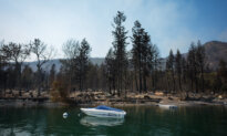 BC Police Launch Wildfire Arson Investigations, as Blazes Raise Trauma in Shuswap