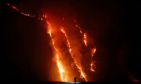 Fire Near Indonesia’s Mount Bromo Extinguished After 550 Hectares Burnt, but New Hotspots Emerge
