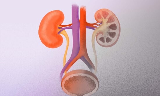 Your Kidneys and Bladder May Be Failing Faster—and Why That’s Happening