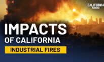 What California Chemical Fires Leave Behind | Michael Hogan