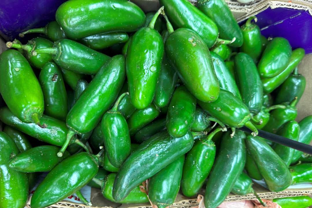 Jalapeños at a supermarket in Alexandria, Va., on Aug. 10, 2026. (Kevin Lamarque/Reuters)