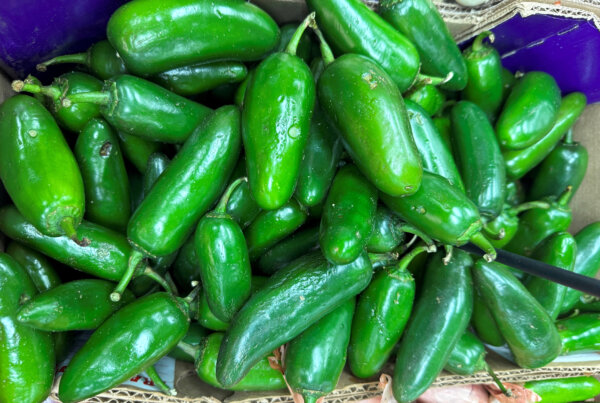 32 States Report Salmonella Outbreak