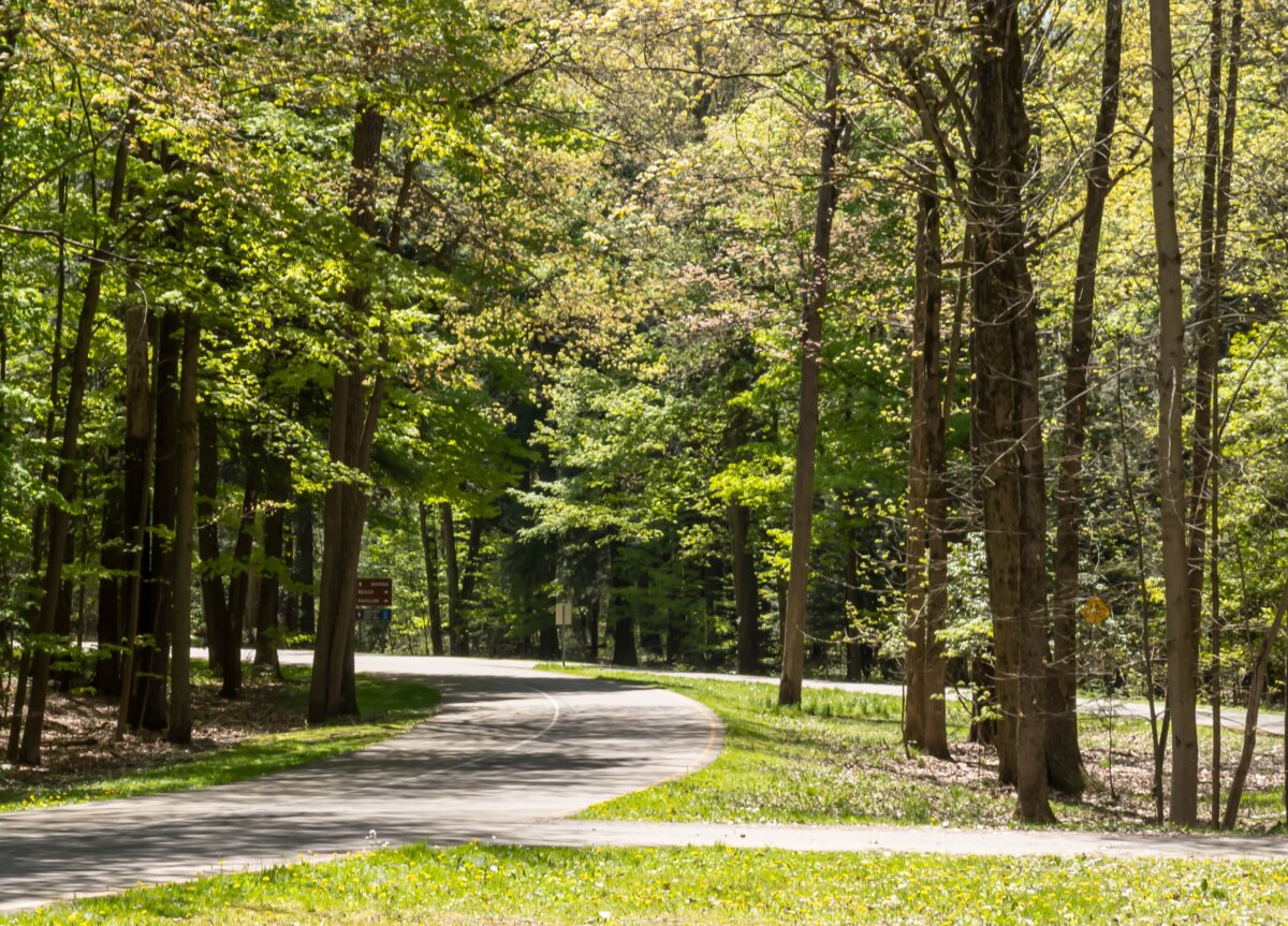 A winding road through the woods in the Long Point State Park on Chautauqua Lake in Beemus Point, New York, on a sunny spring day. (woodsnorthphoto/Shutterstock)