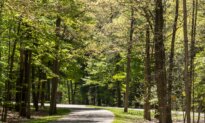Reclaiming the Middle: Chautauqua’s Slow Push Toward Balance