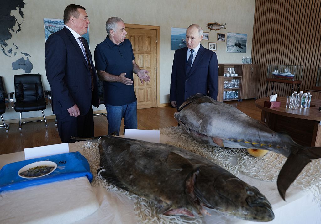 RUSSIA-POLITICS-JAPAN-KURILS