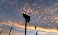 Poll Finds Majority of Arizona Voters Oppose Use of Flock Cameras
