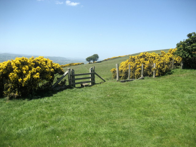 Moel Maenefa 