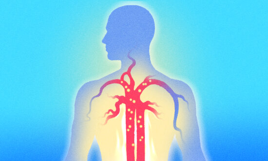 Blood Carries More Than Oxygen. Here’s How to Nourish It