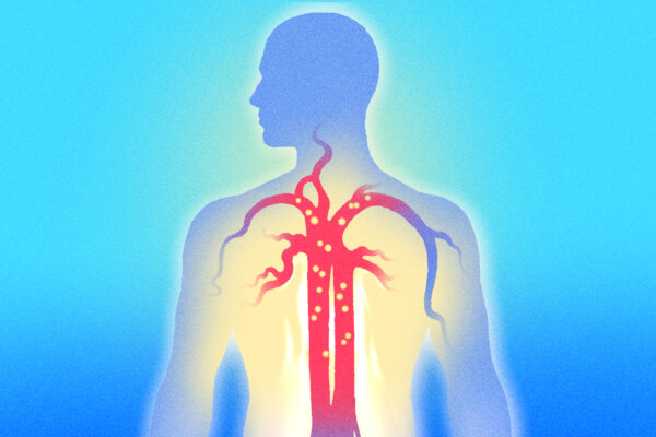 Blood Carries Nutrients and More. Here’s How to Nourish It