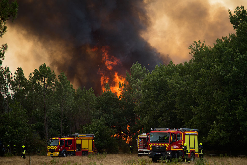 Debate Over Forest Management Heats up After Record Wildfires in Europe