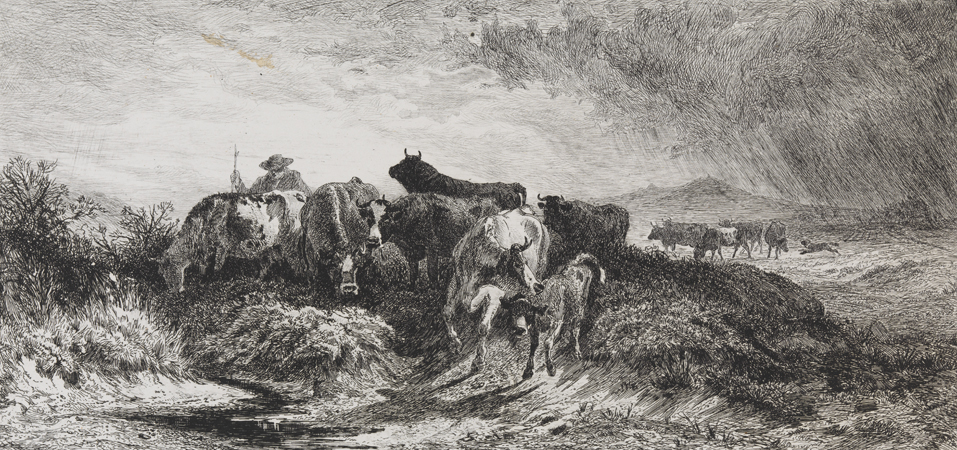 Return of the herd-peter Moran