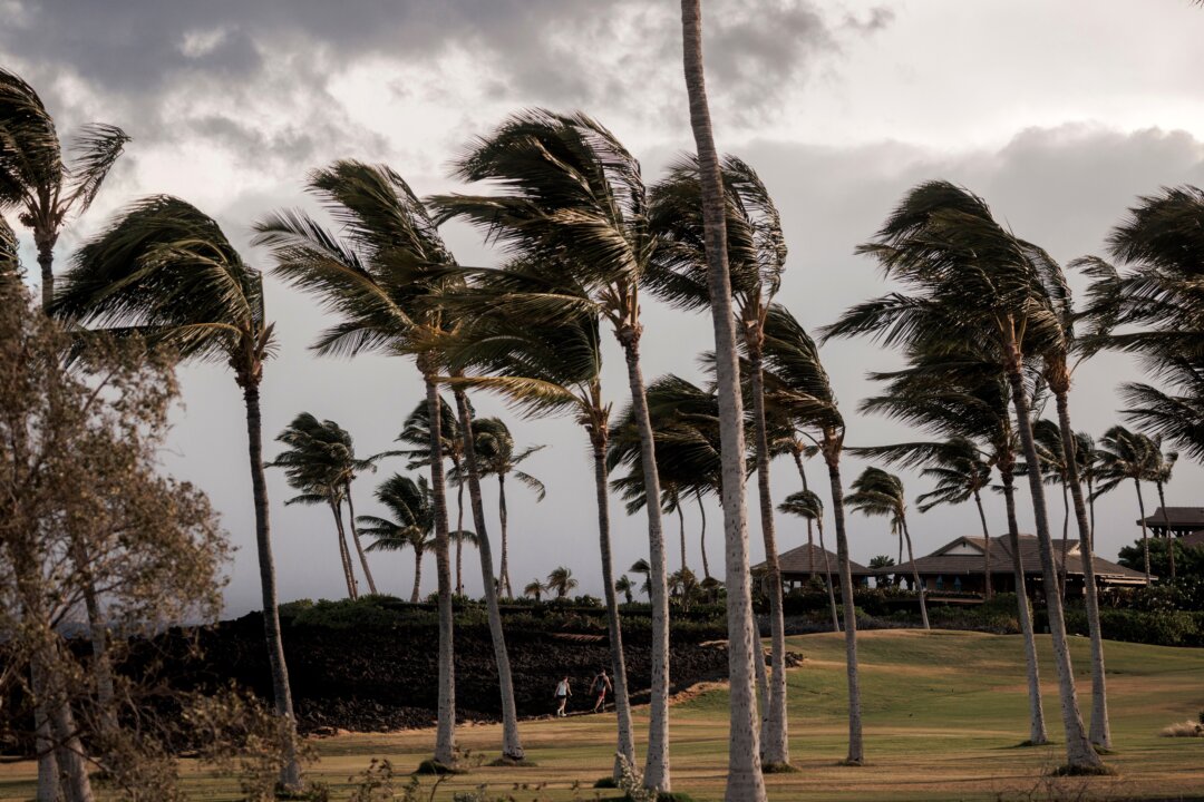 id6075678 Hawaii hurricane AP26227694668621