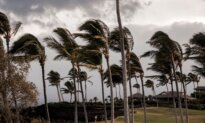 LIVE NOW: Hurricane Lala Nears Hawaii’s Big Island