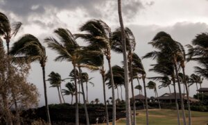 LIVE NOW: Hurricane Lala Nears Hawaii’s Big Island