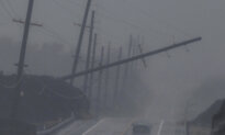 Power Outages Reported for 180,000 in Hawaii as Lala Weakens to Tropical Storm