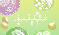 Why Your Body’s ‘Master Detoxifier’ May Be Running on Empty