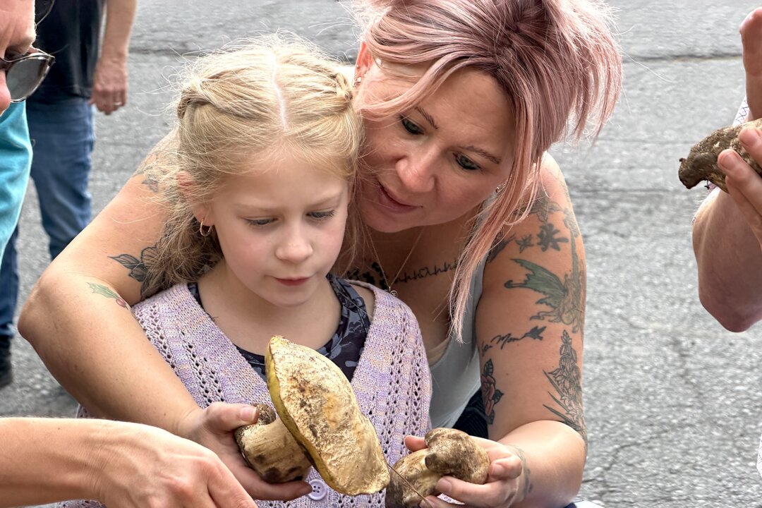 “Preserving Heritage: Traditional Mushroom Hunting in Arizona”