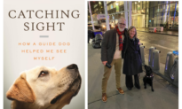 ‘Catching Sight’: Viewing the World With a Guide Dog