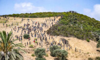 Morocco Arrests 294 Migrants Attempting to Enter Spain’s City of Ceuta