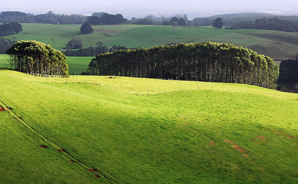 Sun shines over green pasture land at a cattle farm in Smithton of Tasmania, Australia on May 19, 2008. (Ian Waldie/Getty Images)