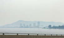 BC Giving Out Free N95 Masks as Wildfire Smoke Hangs Over Interior
