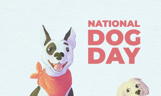 National Dog Day: Caring for the Dogs Who Give US so Much