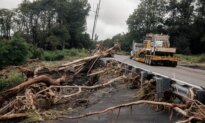 1 Death Linked to Tropical Storm Lala as 117,000 Remain Without Power in Hawaii