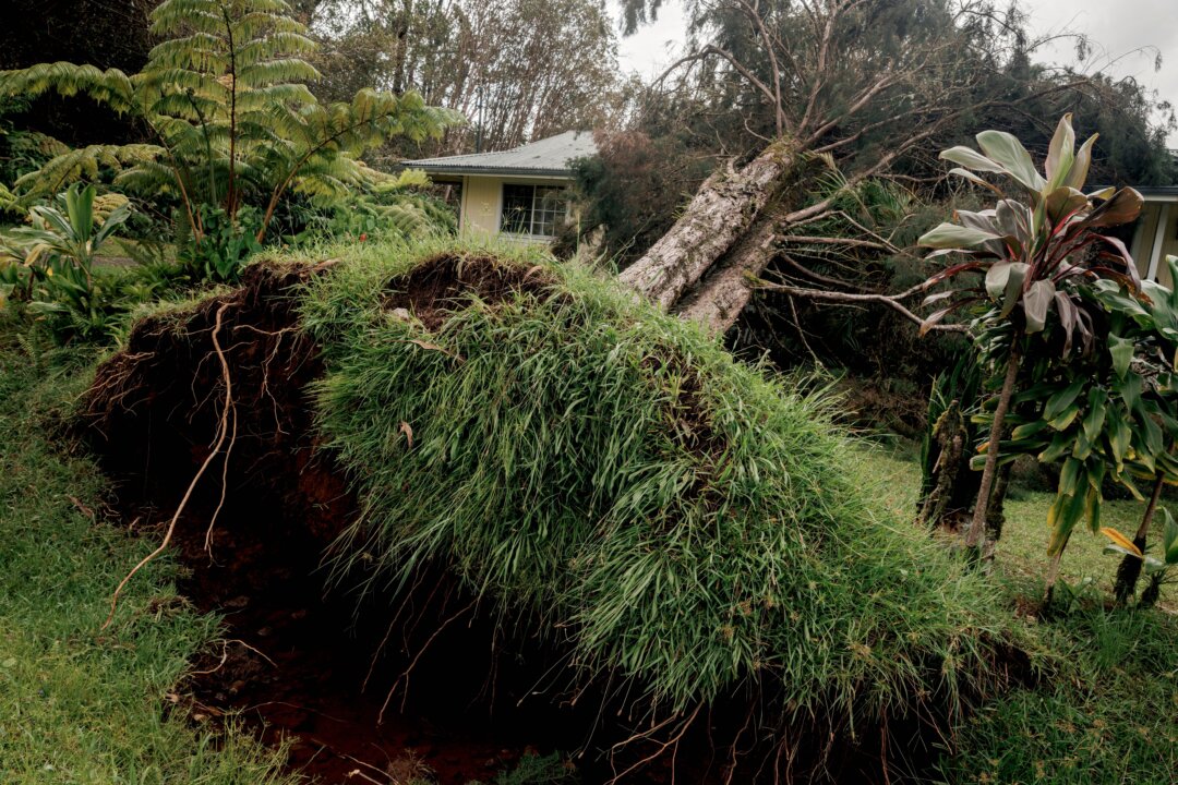 Hurricane Lala Strengthens While Moving West Away From Hawaii