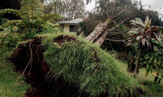 Hurricane Lala Strengthens While Moving West Away From Hawaii