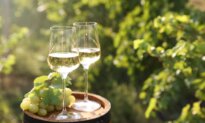 What Slaughtered Pigs Can Teach Us About Europe’s Wine Policy