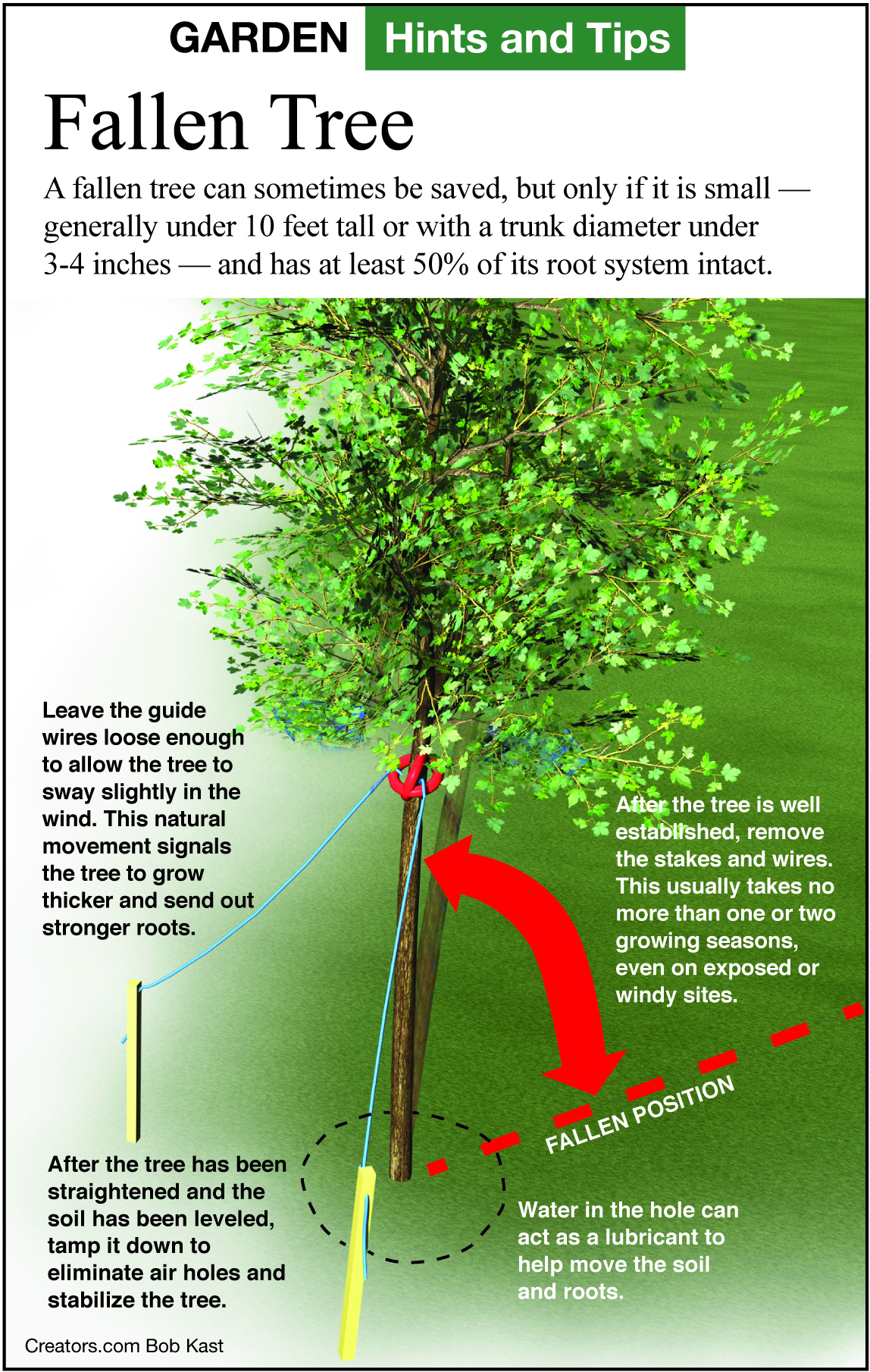 GardenTips.0918