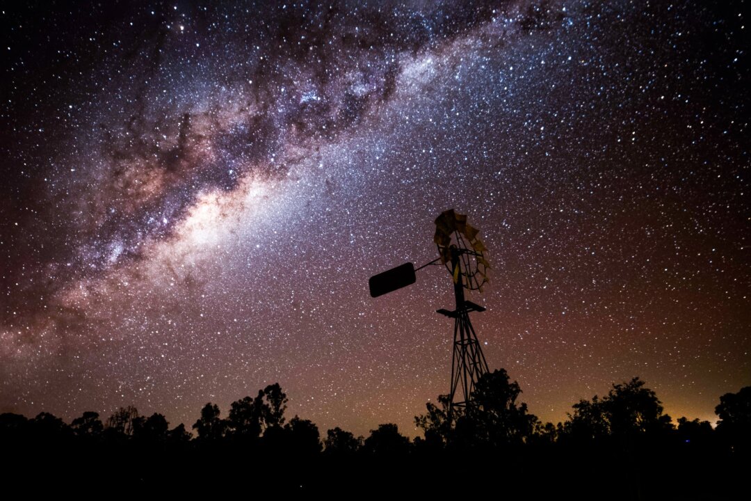 From Wildlife to the Milky Way, the Photographer Who Hunts for the Perfect Moment in Light
