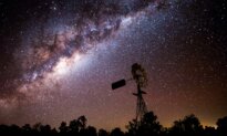 From Wildlife to the Milky Way, the Photographer Who Hunts for the Perfect Moment in Light