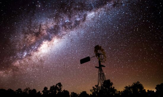 From Wildlife to the Milky Way, the Photographer Who Hunts for the Perfect Moment in Light