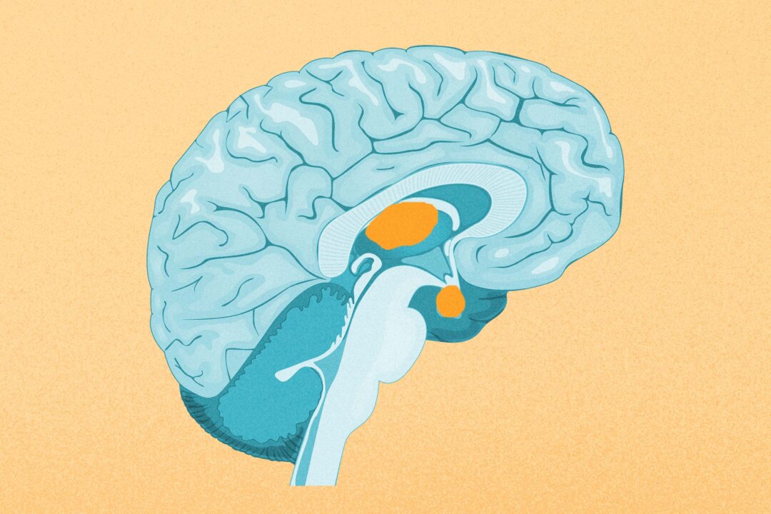 (Illustration by The Epoch Times, Shutterstock)