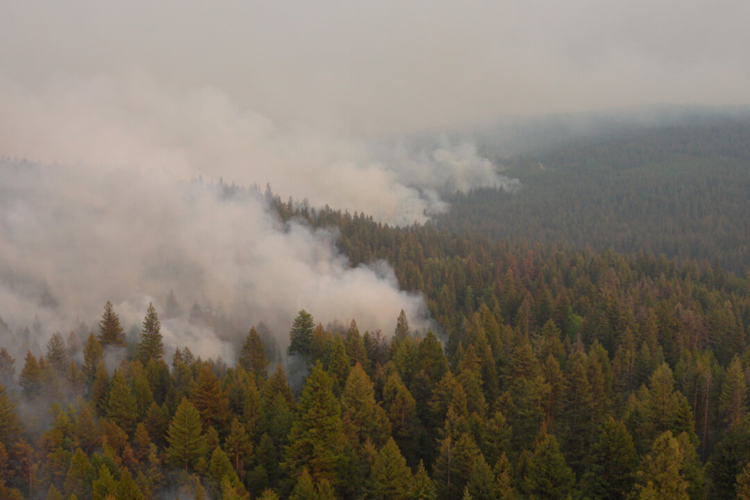 Wildfire Near Summerland, BC, Remains Active as Residents Return