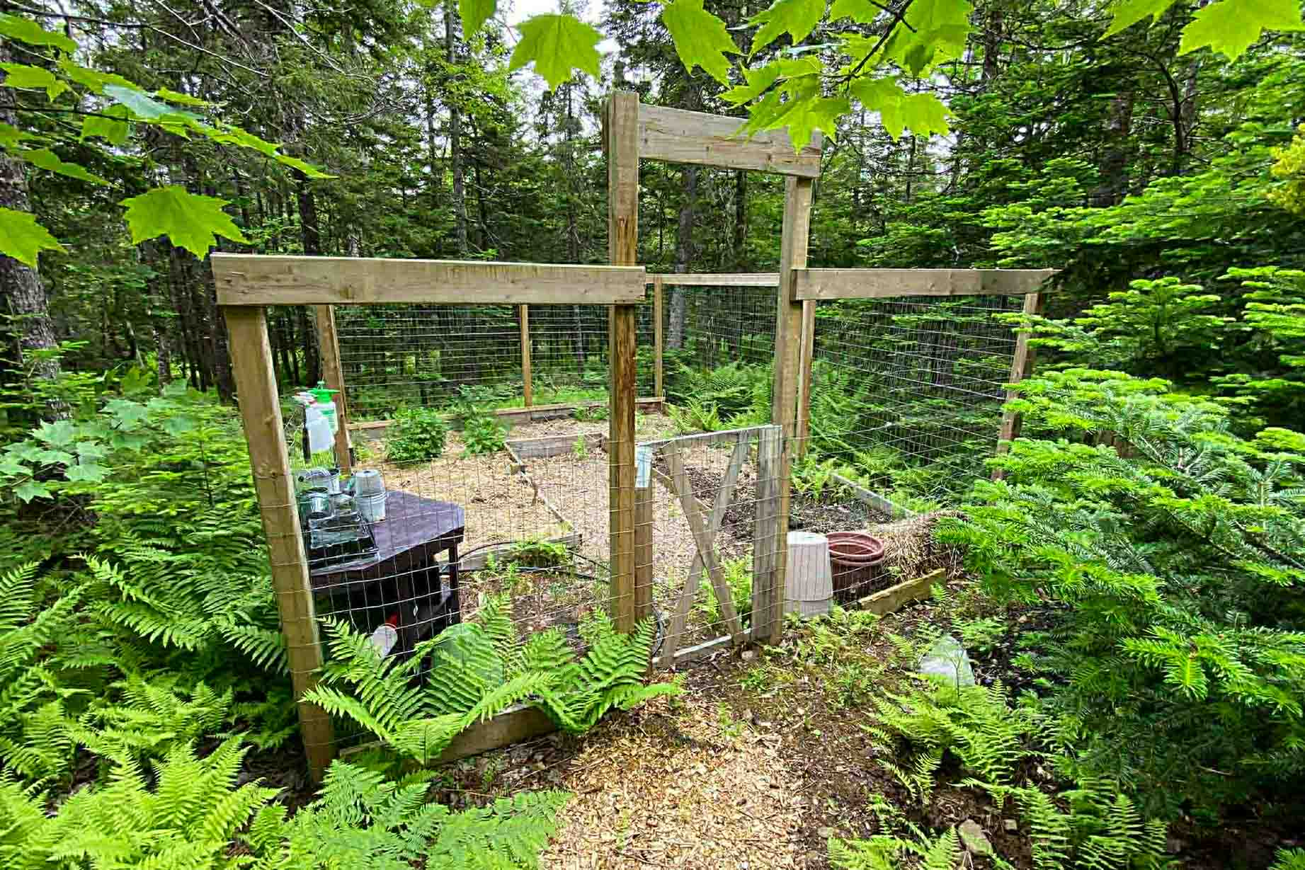243-off-grid-99-11456