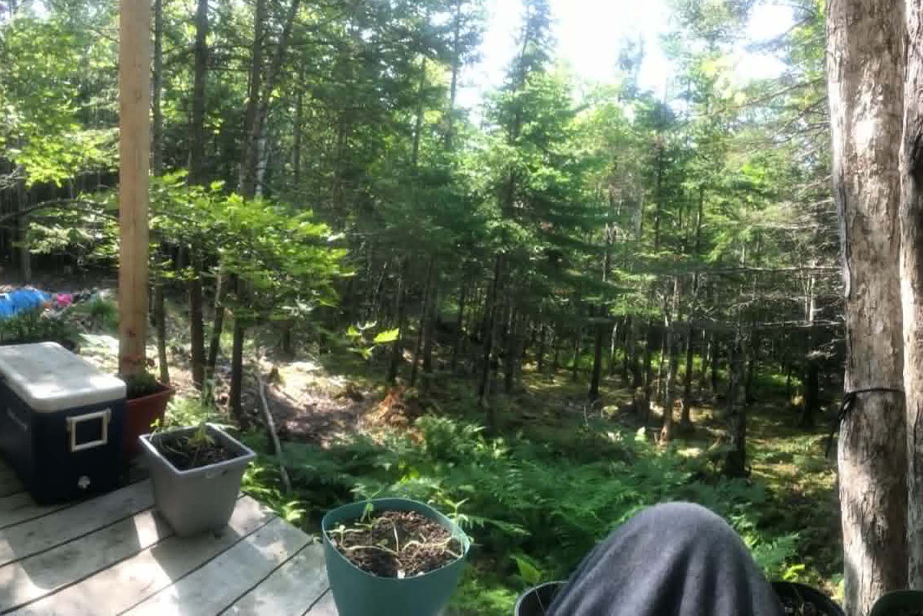 243-off-grid-99-879567987687
